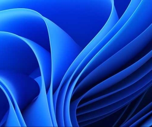 试试图片效果如何