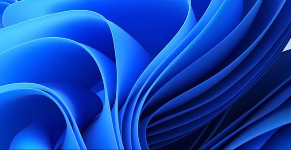 试试图片效果如何